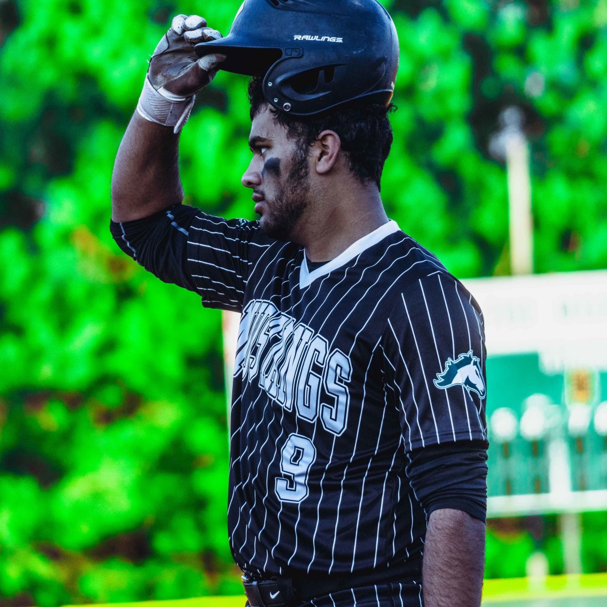 Willie_Prince_Kennesaw_Mountain_baseball.57